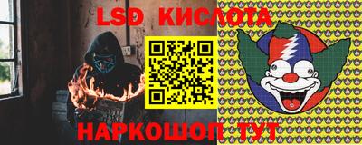 твердый Новозыбков