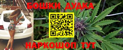 spice Новодвинск