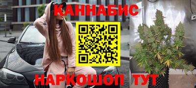spice Новодвинск