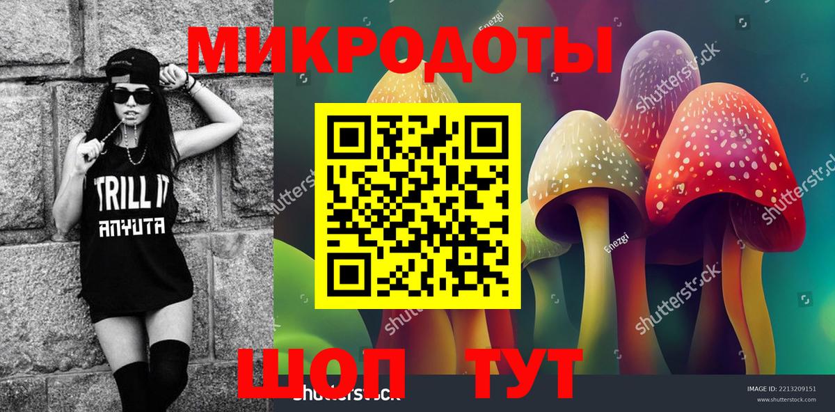 Псилоцибиновые грибы Psilocybine cubensis  Вход с VPN  Урус-Мартан 